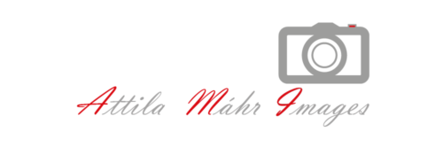 Attila Mahr Images logo_medium grey with red AMI4